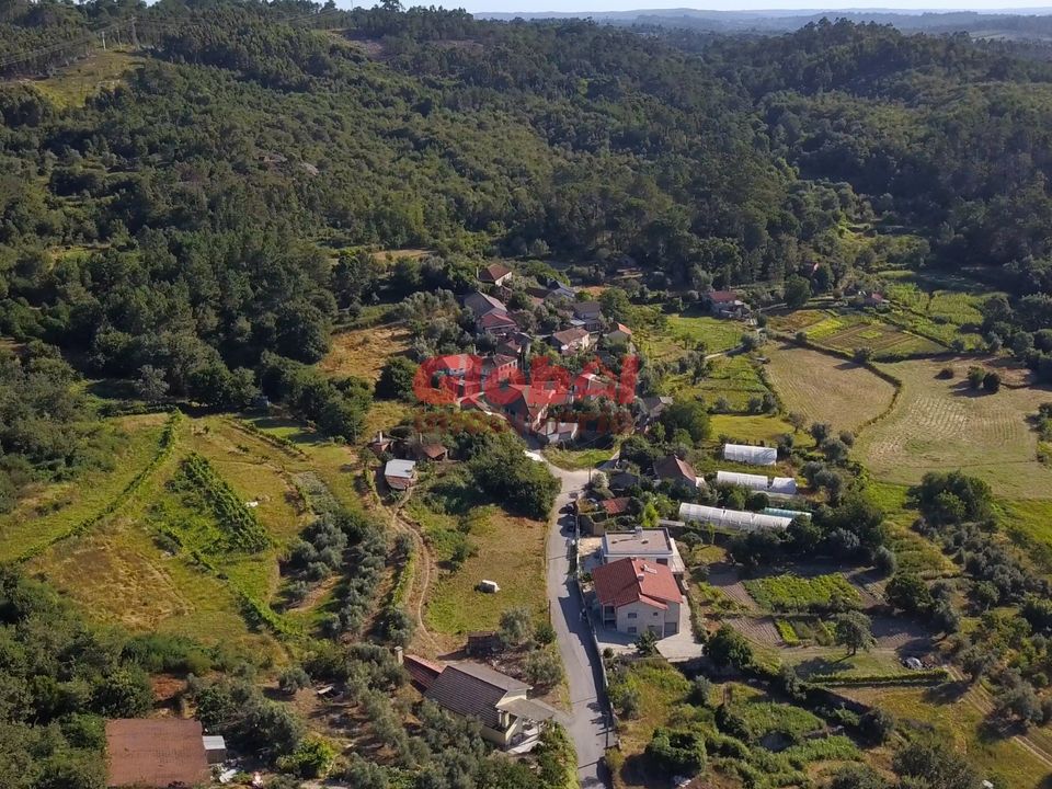 Farm i Viseu, Viseu - foto 3