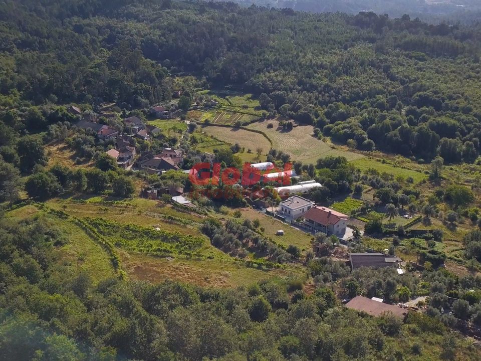 Farm i Viseu, Viseu - foto 4