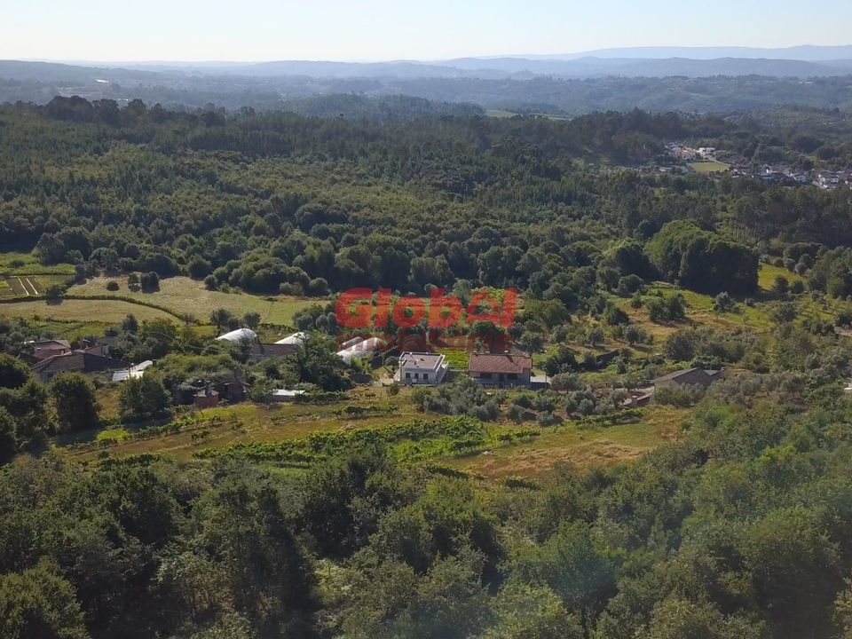 Farm i Viseu, Viseu - foto 5