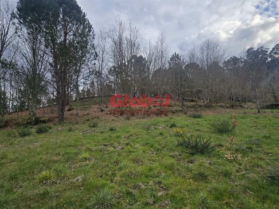 Helårsgrund i Viseu, Viseu - foto 4
