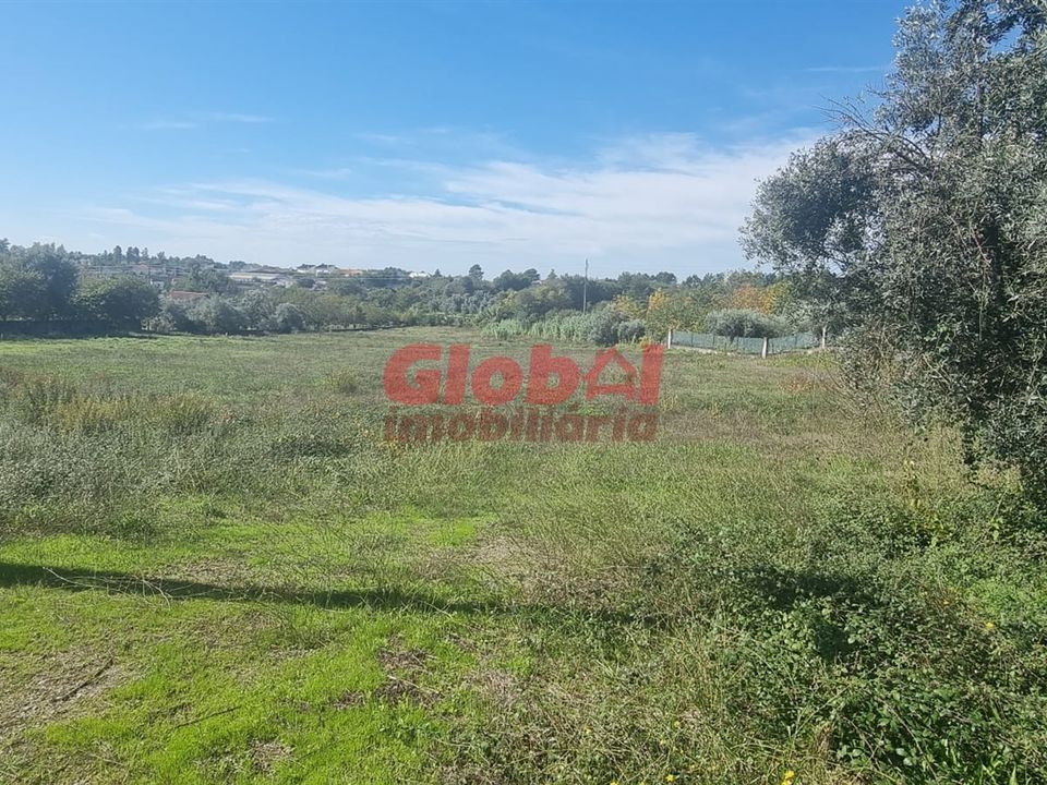 Helårsgrund i Viseu, Viseu - foto 2