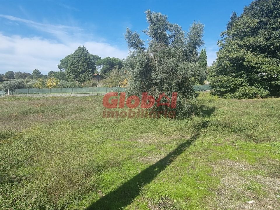 Helårsgrund i Viseu, Viseu - foto 3
