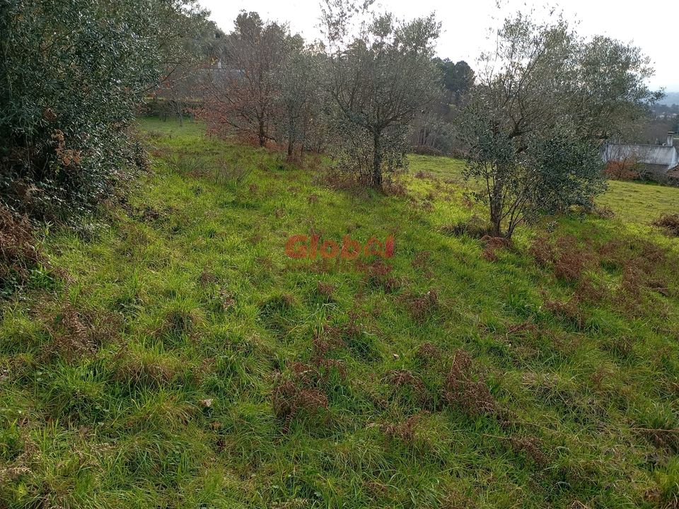 Helårsgrund i Gouveia, Guarda - foto 1
