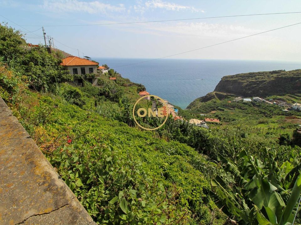 Helårsgrund i Ribeira Brava, Madeira - foto 1