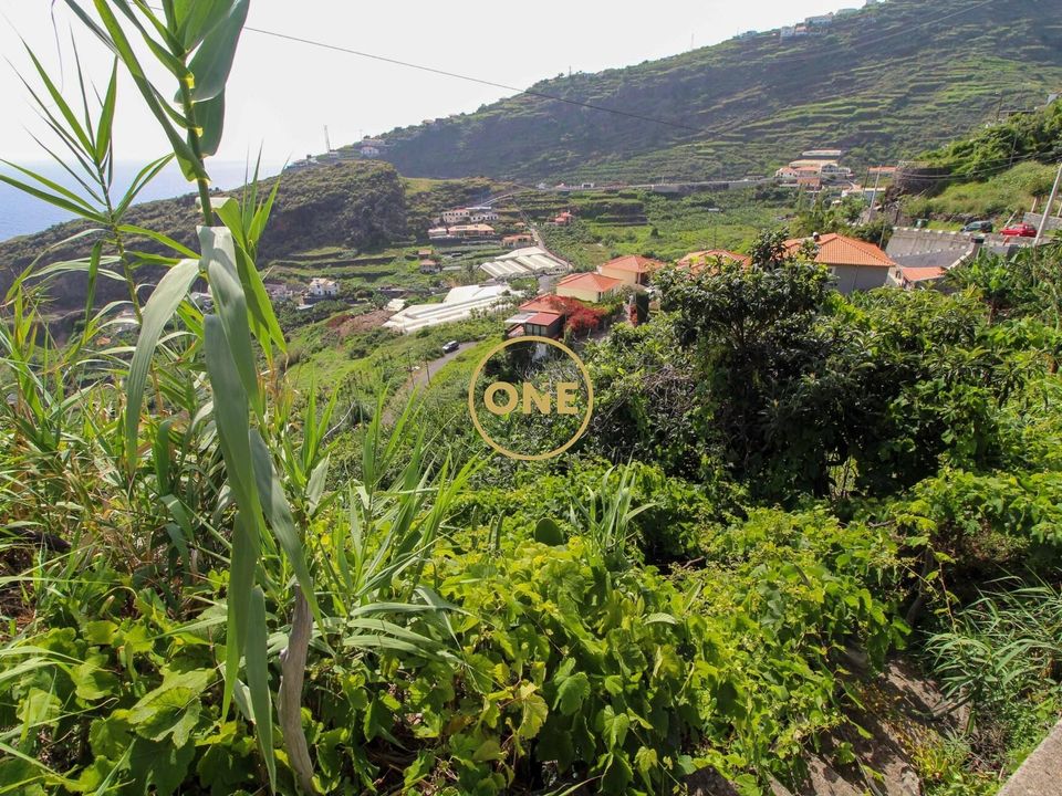 Helårsgrund i Ribeira Brava, Madeira - foto 5