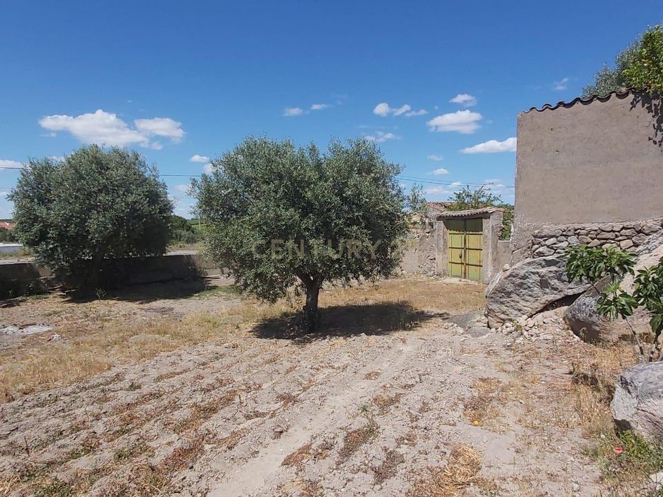 Helårsgrund i Vidigueira, Beja - foto 4