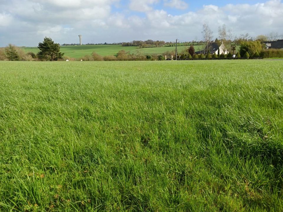 Terra a Pouillé-les-Côteaux, Loire-Atlantique - foto 1