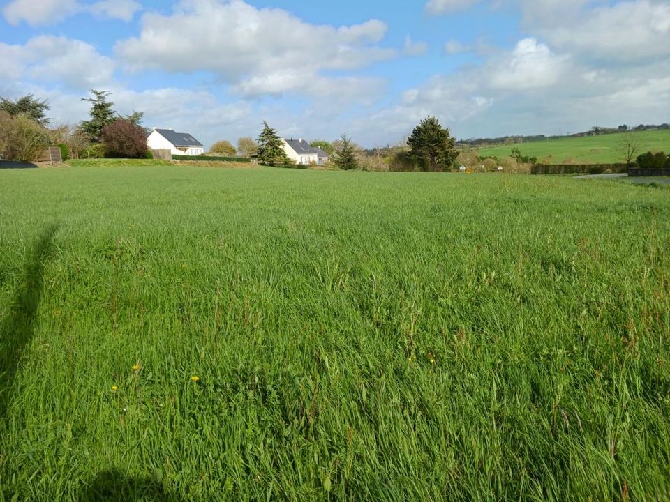 Terra a Pouillé-les-Côteaux, Loire-Atlantique - foto 2