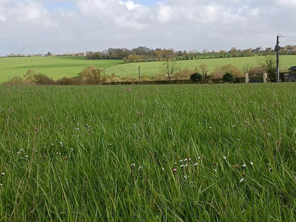 Terra a Pouillé-les-Côteaux, Loire-Atlantique - foto 3