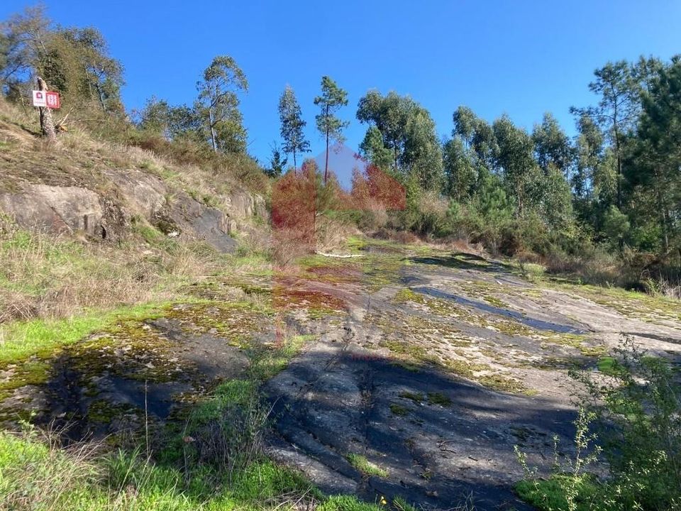 Helårsgrund i Vila Verde, Braga - foto 1