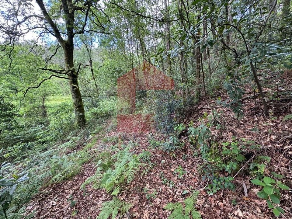 Helårsgrund i Vila Verde, Braga - foto 2