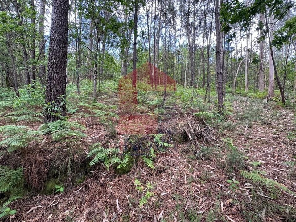 Helårsgrund i Vila Verde, Braga - foto 5