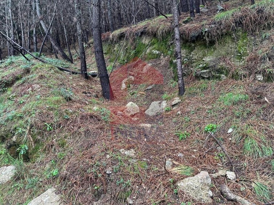 Helårsgrund i Amares, Braga - foto 2