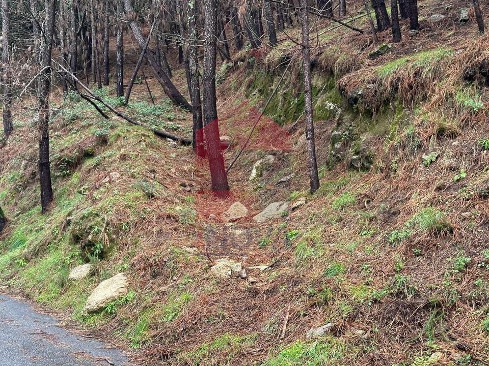 Helårsgrund i Amares, Braga - foto 4