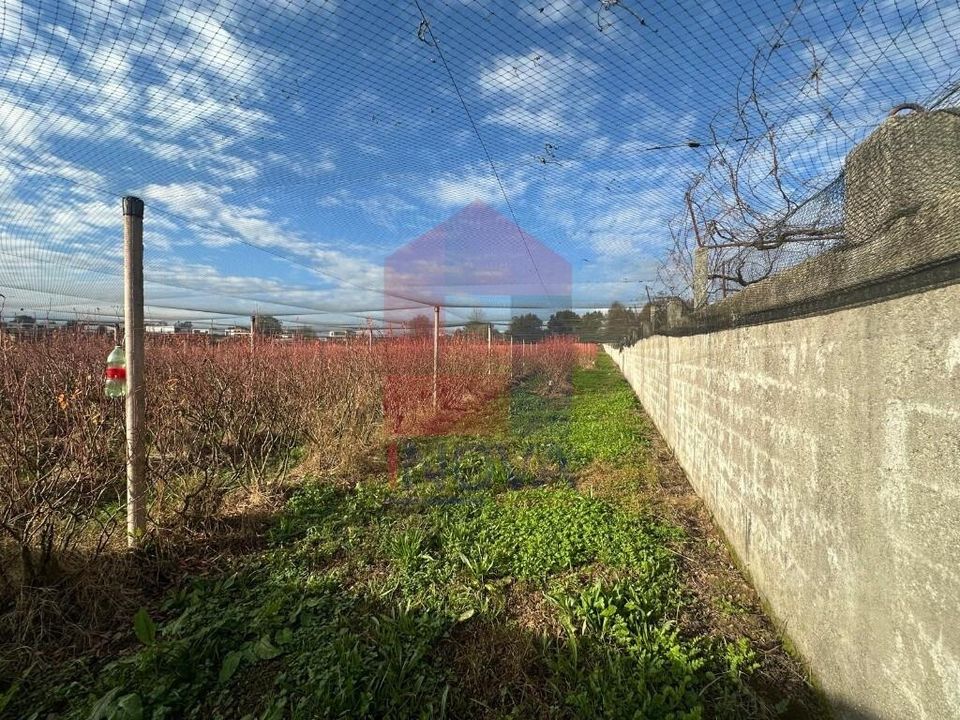 Helårsgrund i Vila Verde, Braga - foto 3