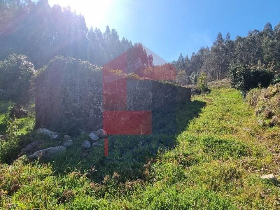 Farm i Vila Verde, Braga - foto 4
