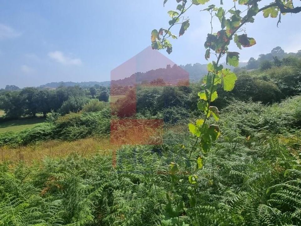 Helårsgrund i Vila Verde, Braga - foto 5