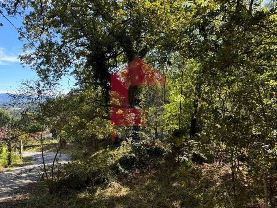 Helårsgrund i Vila Verde, Braga - foto 5