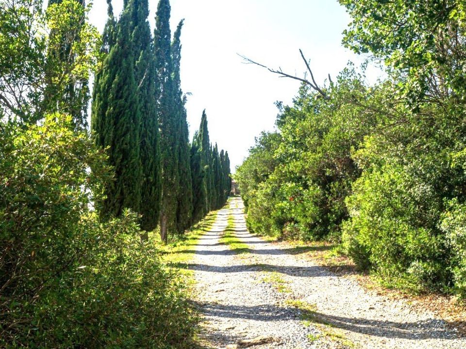 Villa i Monterotondo Marittimo, Grosseto - foto 2