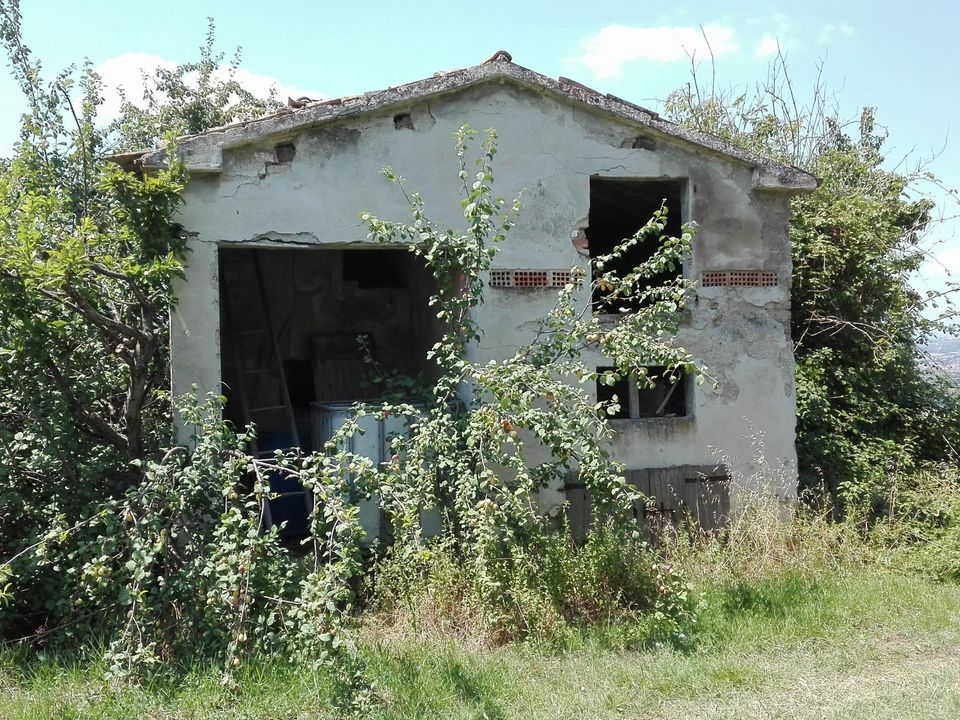Villa i Controguerra, Teramo - foto 5