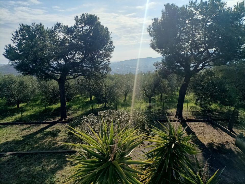 Villa i Monteprandone, Ascoli Piceno - foto 5
