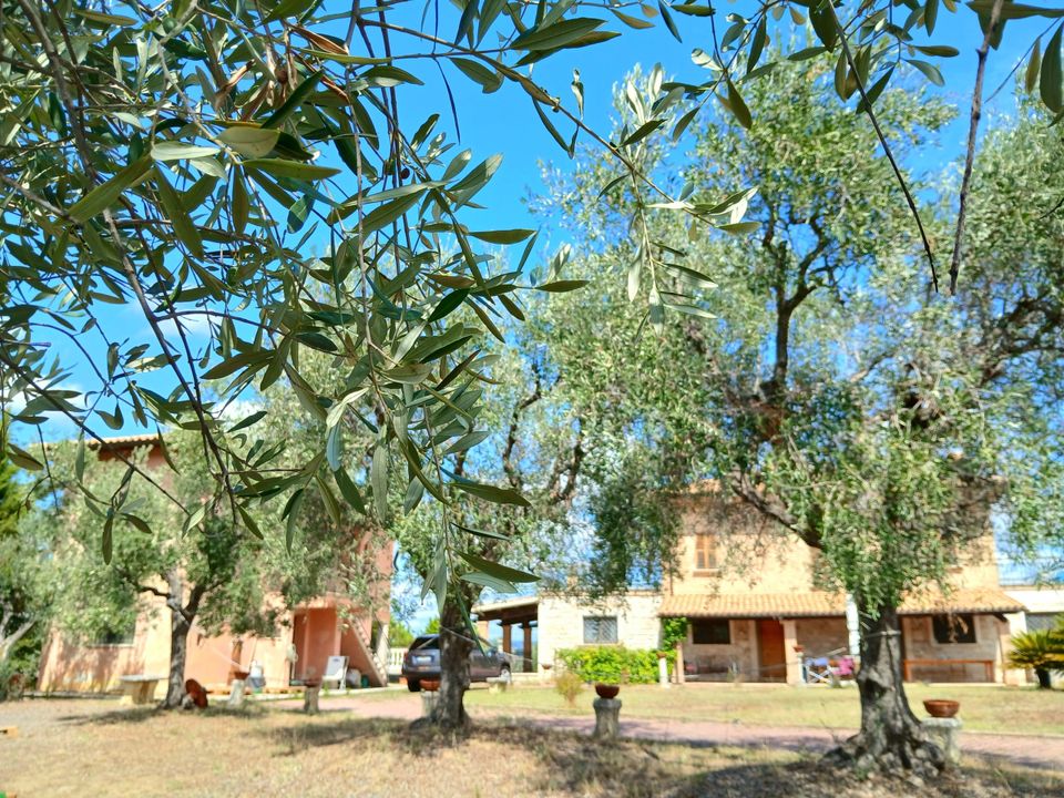 Villa i Ancarano, Teramo - foto 4