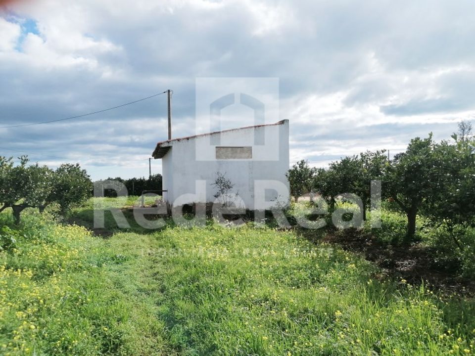 Helårsgrund i Boliqueime, Faro - foto 5