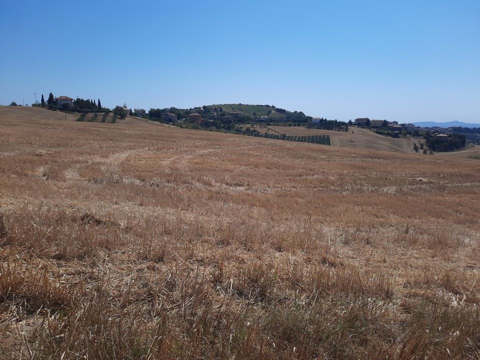 Erhvervsejendom i Offida, Ascoli Piceno - foto 3