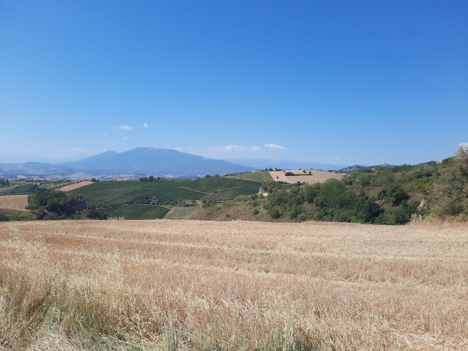 Erhvervsejendom i Offida, Ascoli Piceno - foto 5