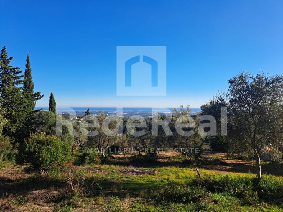 Helårsgrund i Santa Barbara de Nexe, Faro - foto 1