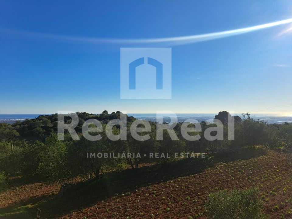 Helårsgrund i Santa Barbara de Nexe, Faro - foto 2