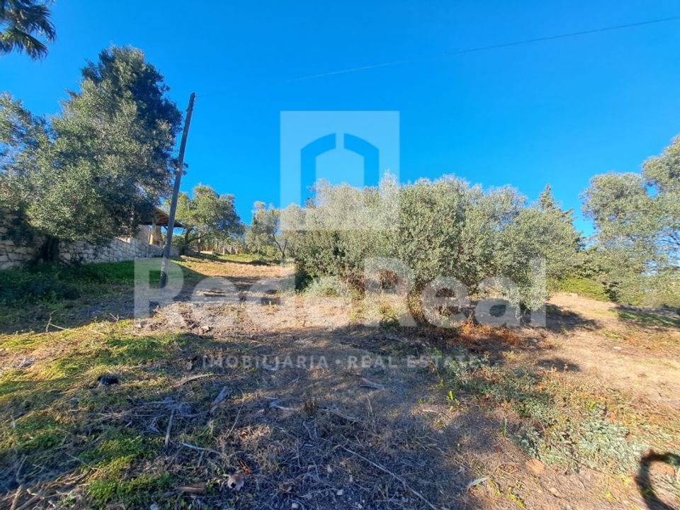 Helårsgrund i Santa Barbara de Nexe, Faro - foto 5