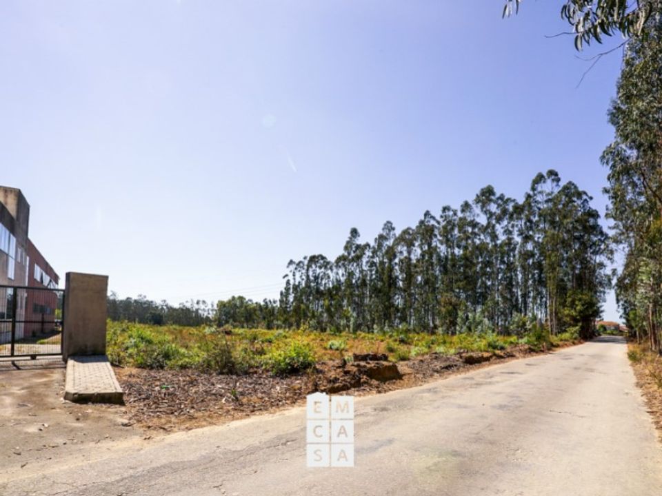 Bungalow i Oliveira de Azemeis, Aveiro - foto 4