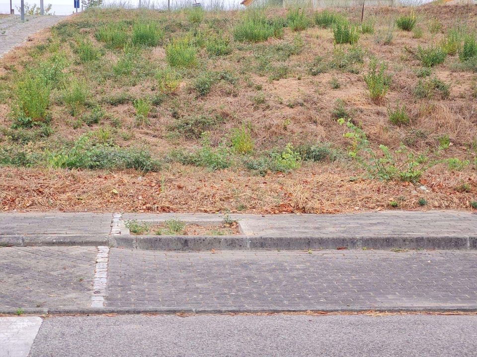 Helårsgrund i Entroncamento, Santarem - foto 4