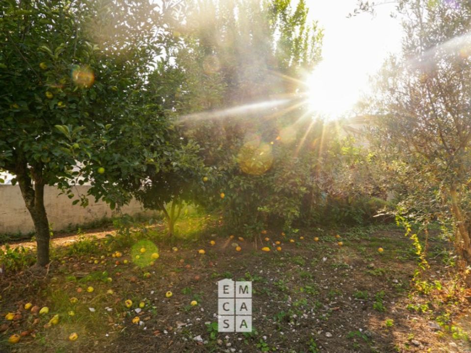 Helårsgrund i Oliveira de Azemeis, Aveiro - foto 5
