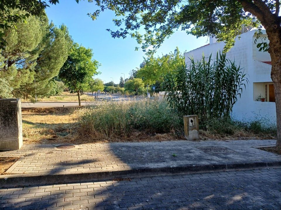 Helårsgrund i Entroncamento, Santarem - foto 5