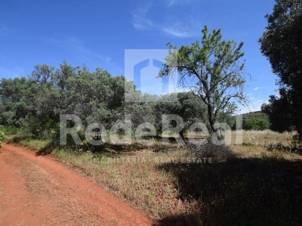 Helårsgrund i Benafim, Faro - foto 4