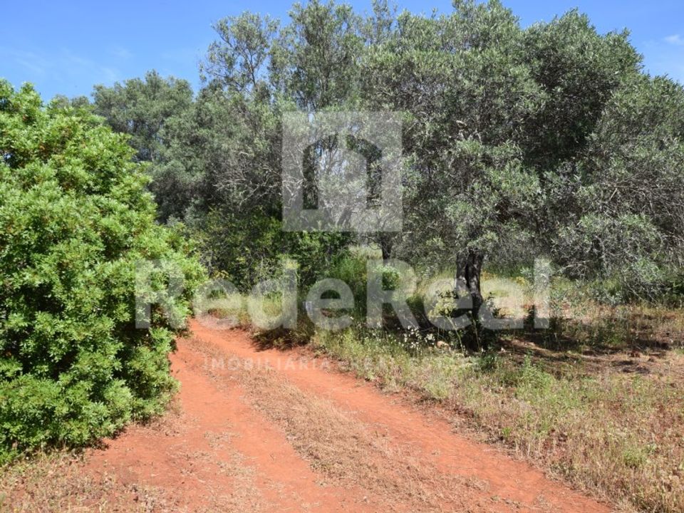 Helårsgrund i Benafim, Faro - foto 5