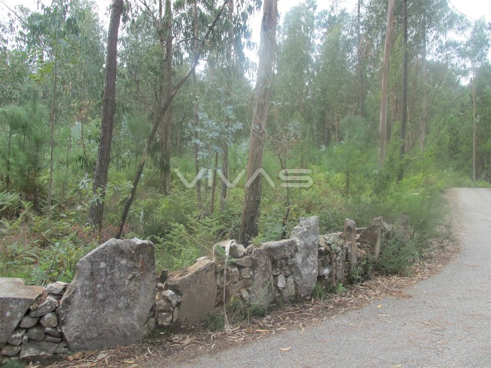 Helårsgrund i Vila Verde, Braga - foto 1