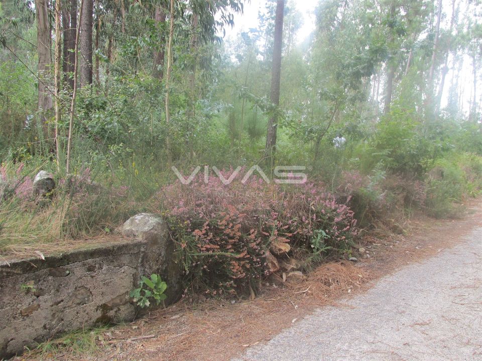Helårsgrund i Vila Verde, Braga - foto 2