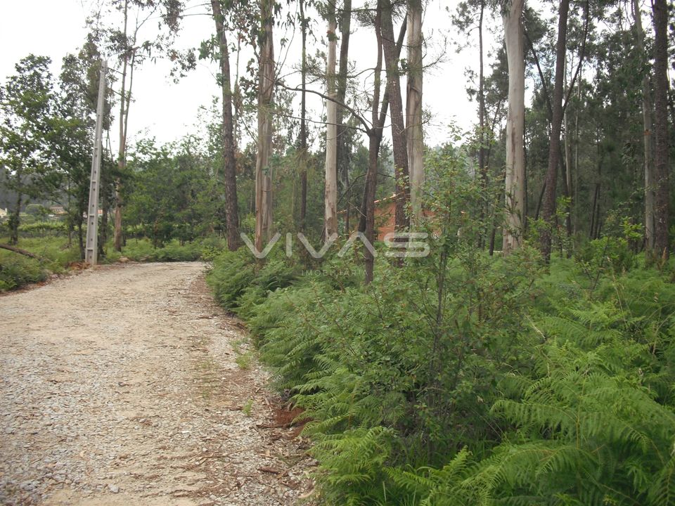 Helårsgrund i Vila Verde, Braga - foto 1