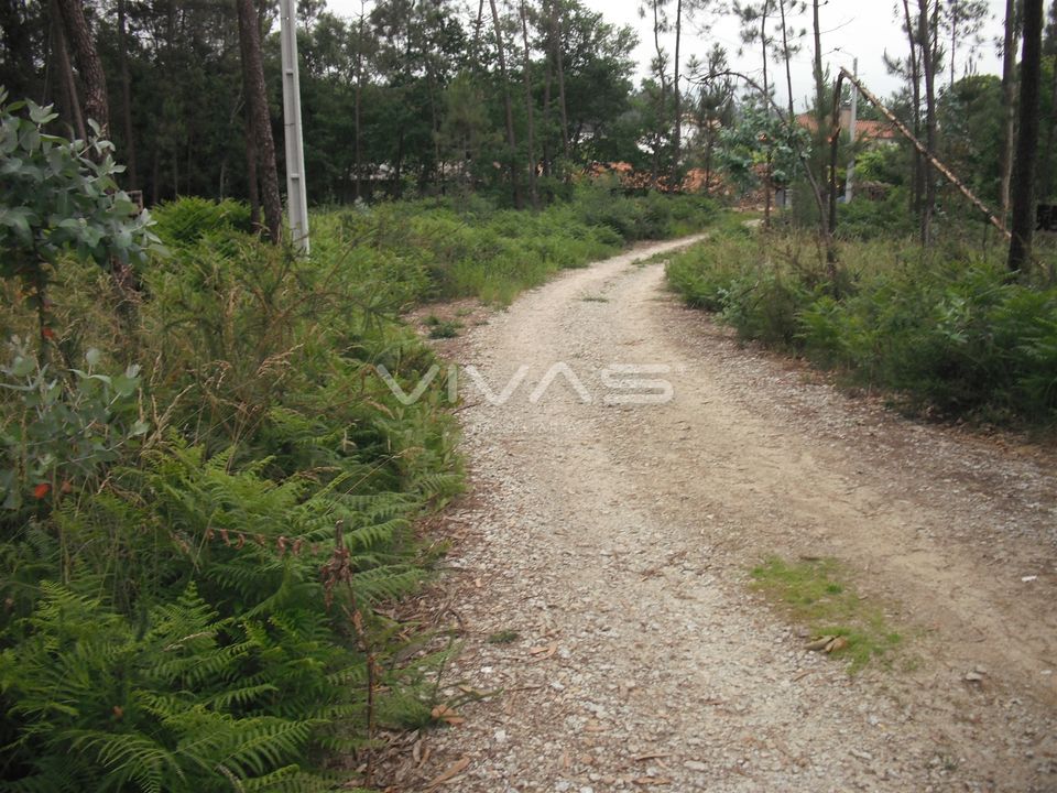 Helårsgrund i Vila Verde, Braga - foto 2