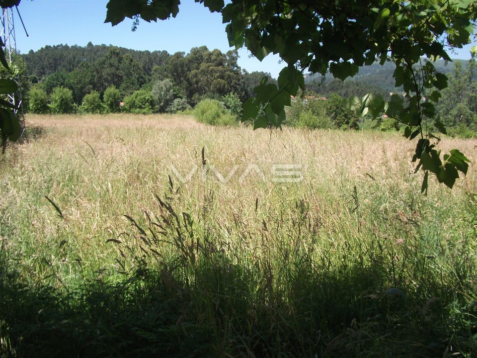 Helårsgrund i Vila Verde, Braga - foto 1