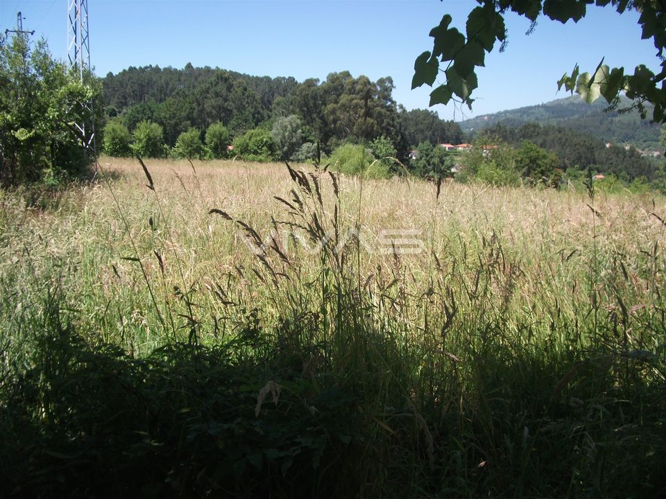Helårsgrund i Vila Verde, Braga - foto 2