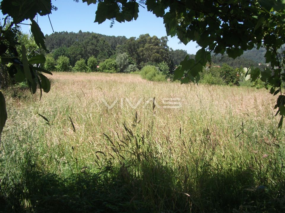 Helårsgrund i Vila Verde, Braga - foto 3