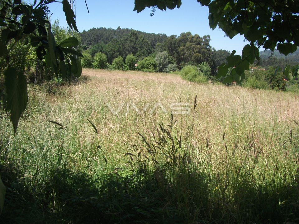 Helårsgrund i Vila Verde, Braga - foto 4
