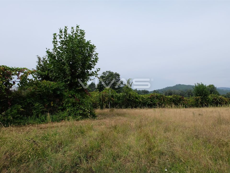 Helårsgrund i Vila Verde, Braga - foto 3