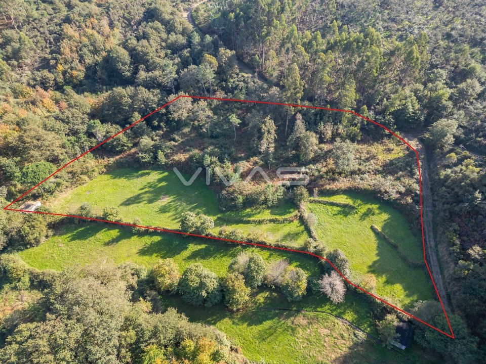 Helårsgrund i Vila Verde, Braga - foto 1