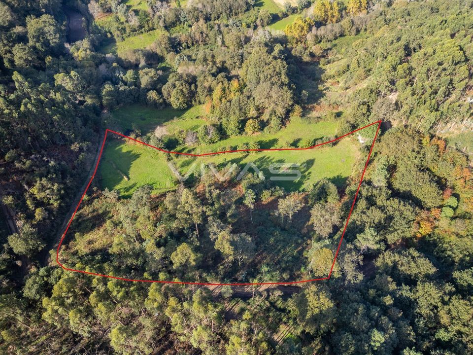 Helårsgrund i Vila Verde, Braga - foto 4