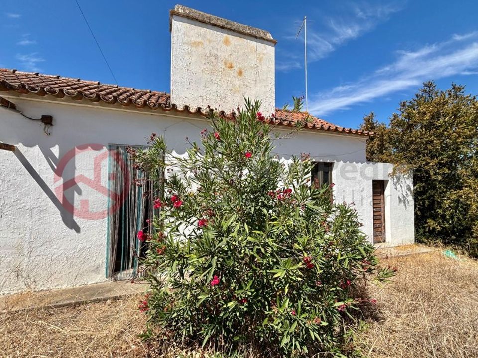 Farm i Couco, Santarem - foto 3